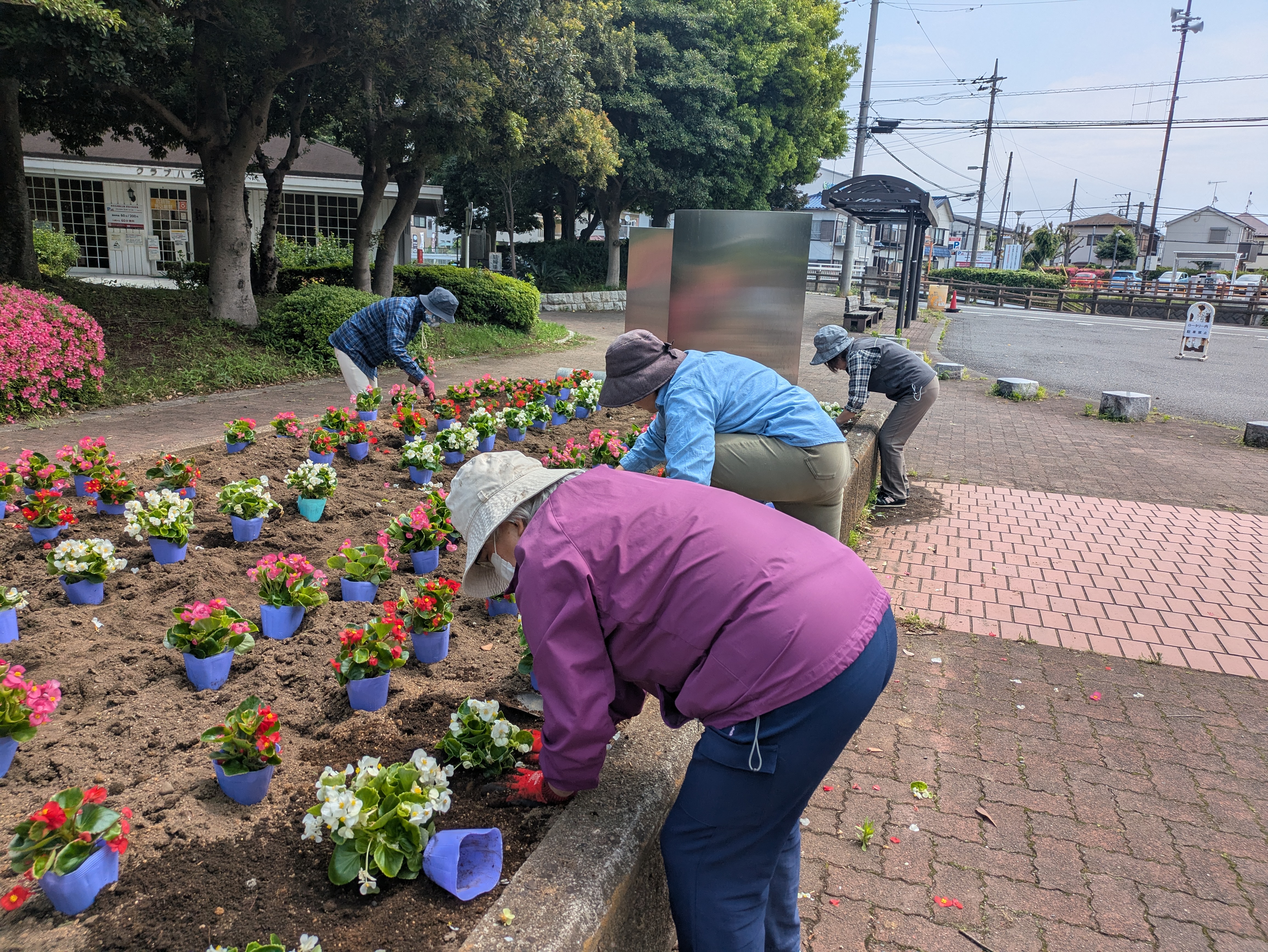 お花の植替えボランティア活動