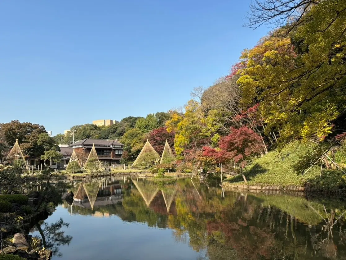 【文京区・肥後細川庭園】秋の紅葉ライトアップ「ひごあかり」、11月22日（土）から開催！深まる紅葉と竹あかりが織りなす幻想的な9日間。 9