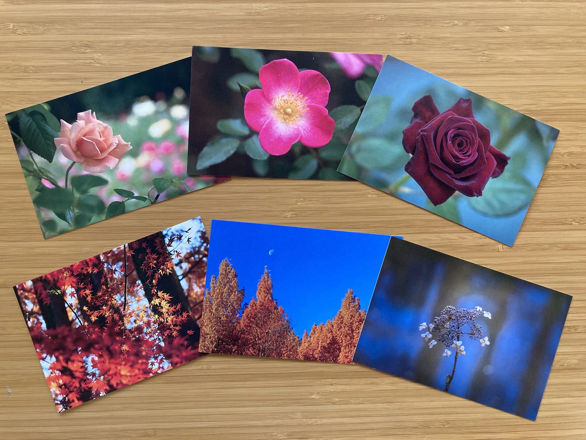 生田緑地ポストカード販売スタート