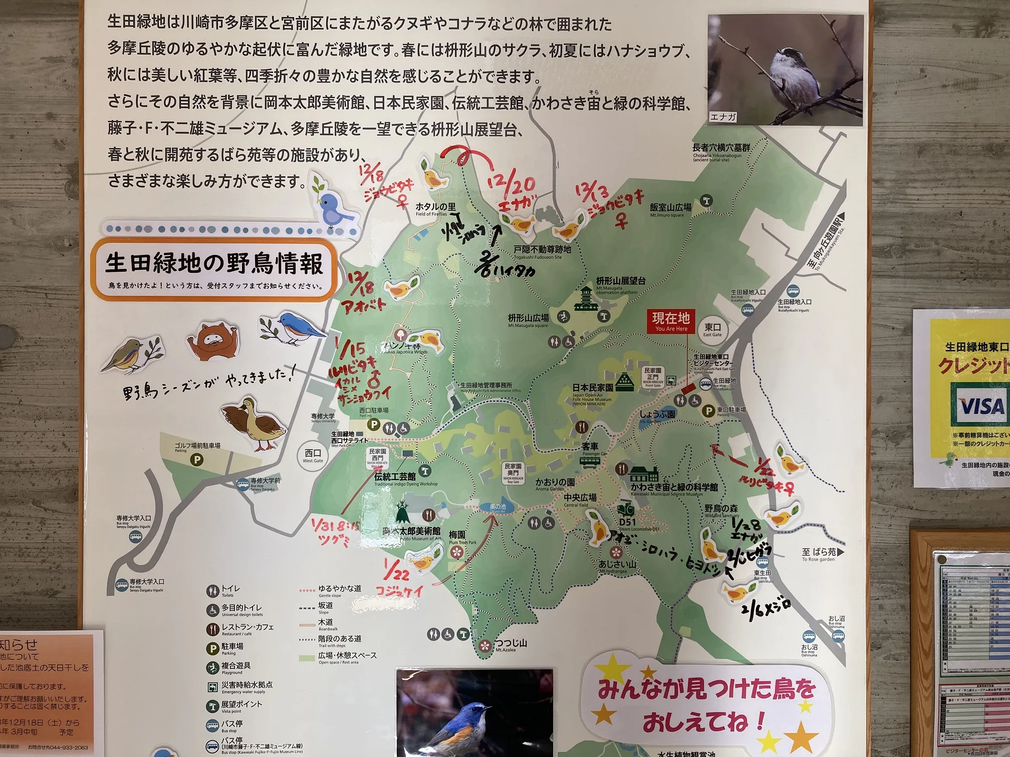 野鳥の掲示板