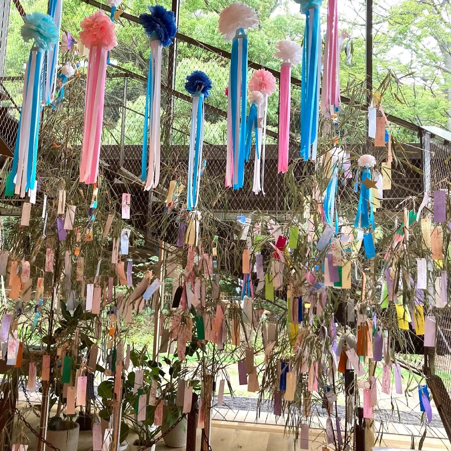 七夕飾り短冊の奉納