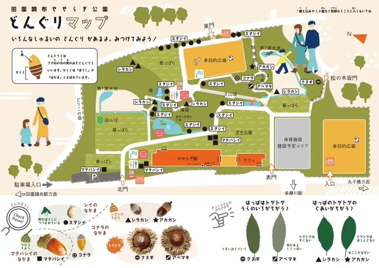 田園調布せせらぎ公園どんぐりマップ