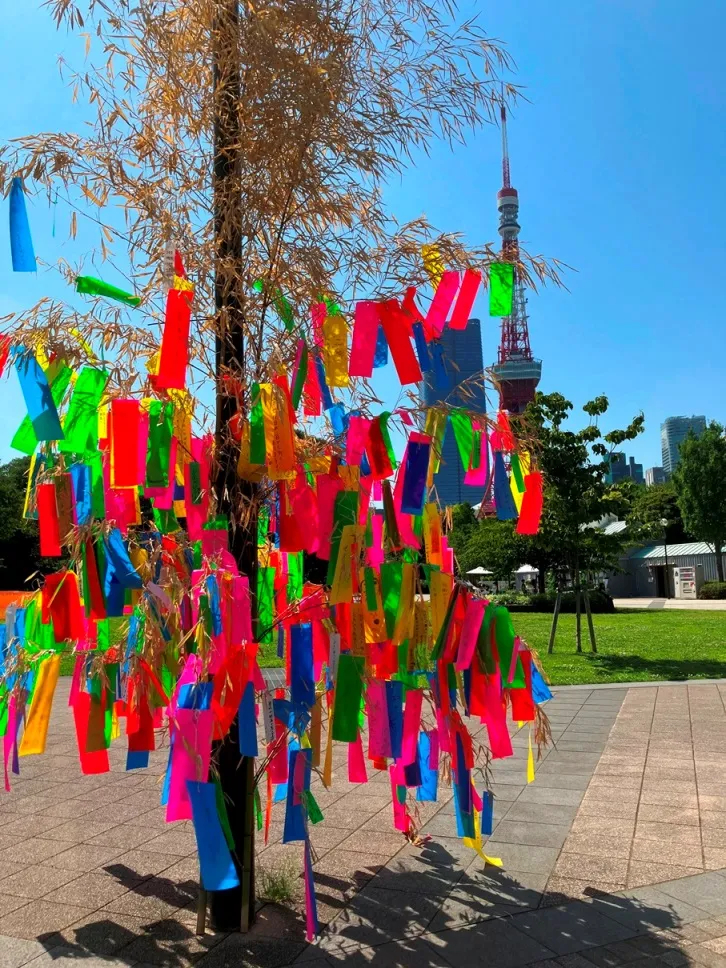 短冊に願いを込めて！七夕飾り展開中！！