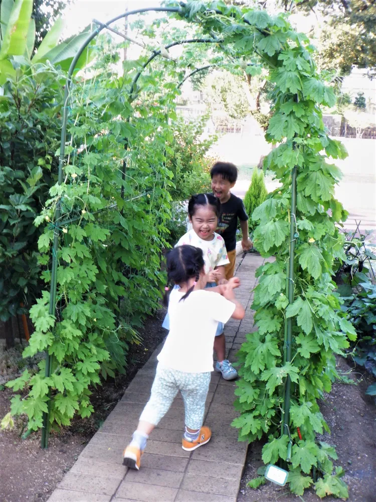夏休みのフォトスポット