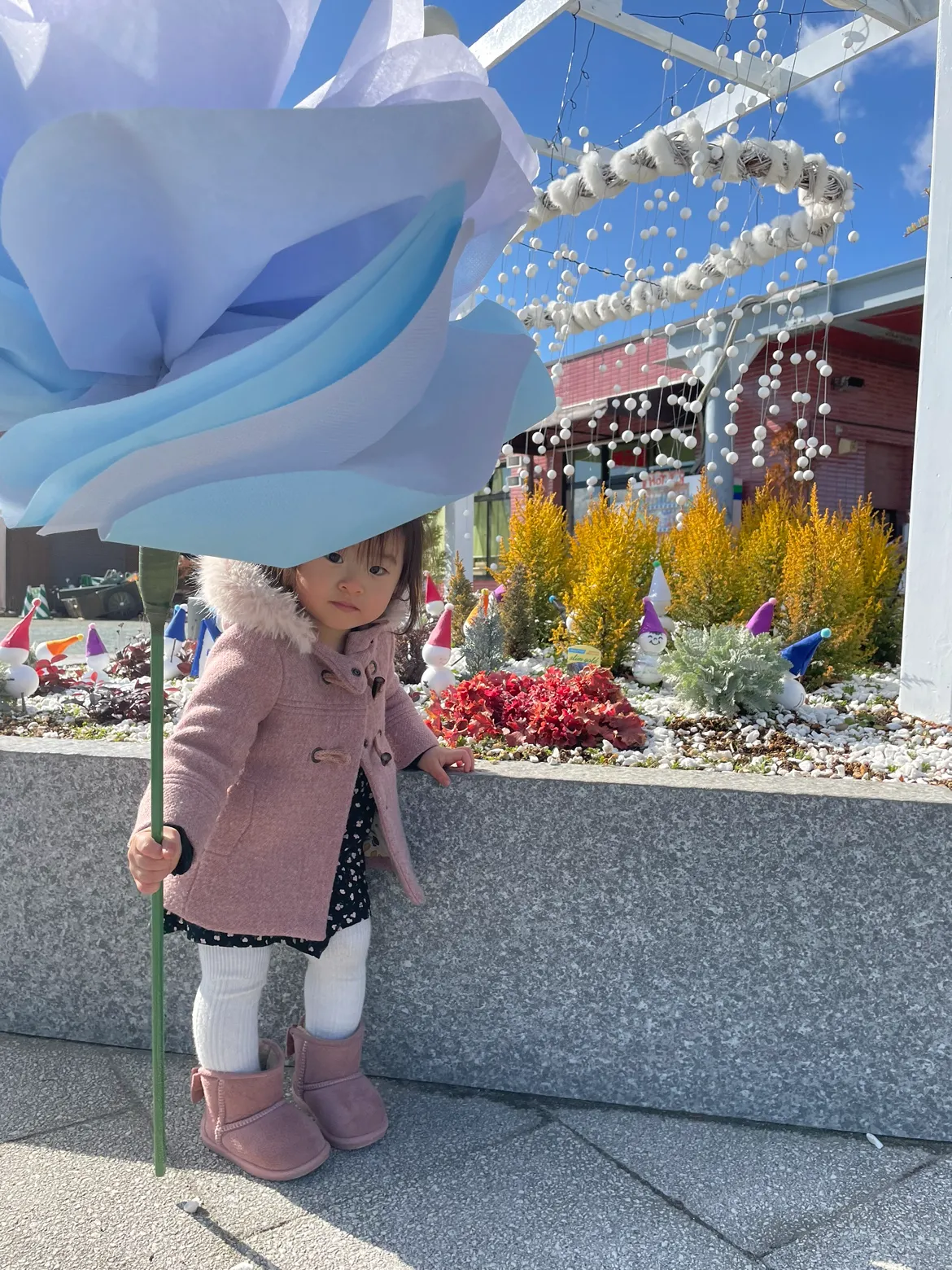 ウインターフェア