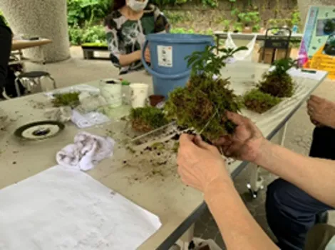 チェアヨガと苔玉つくり教室を開催0