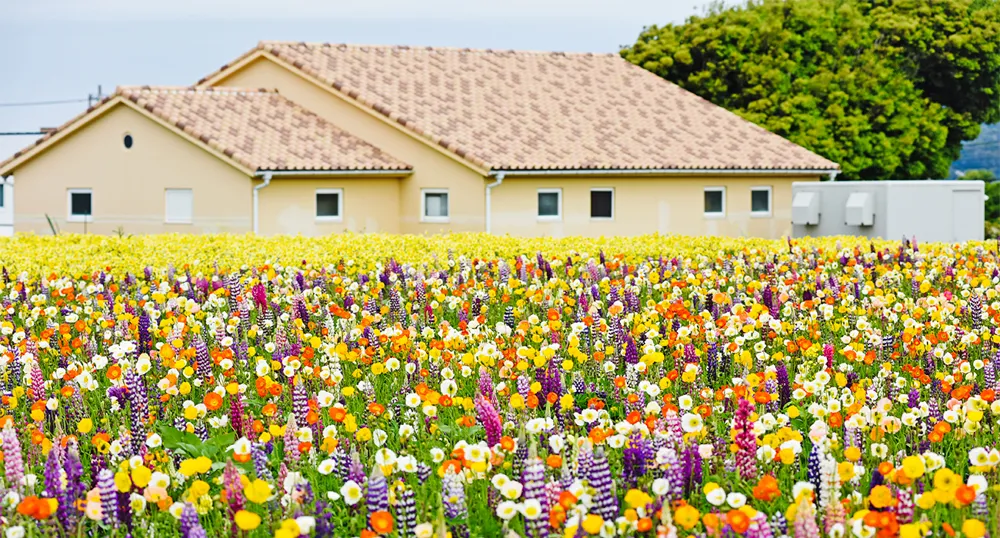 長井海の手公園ソレイユの丘・荒崎公園3