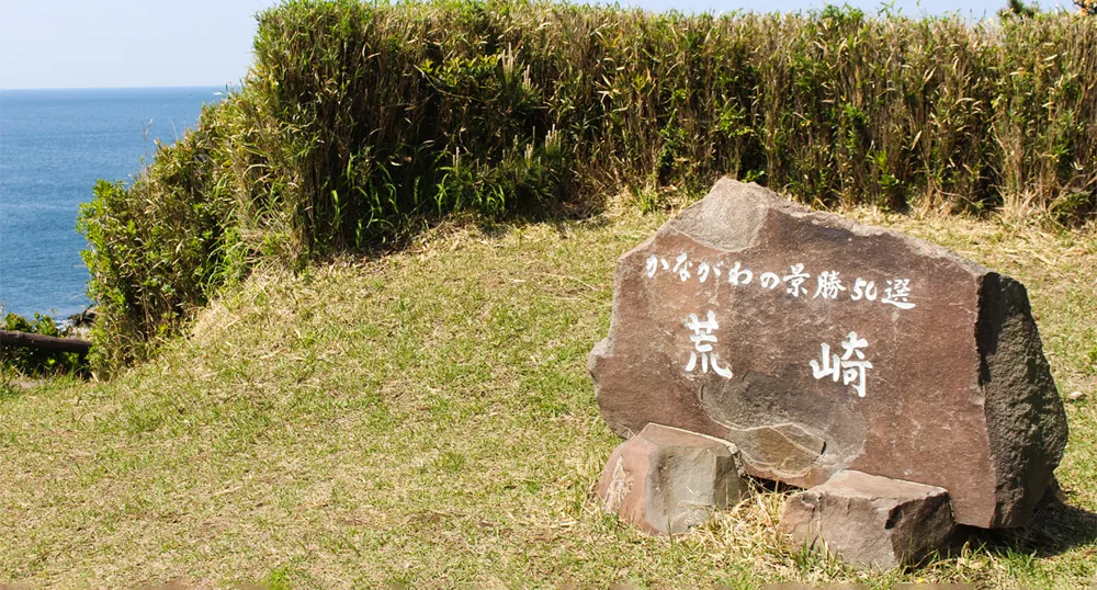 長井海の手公園ソレイユの丘・荒崎公園3