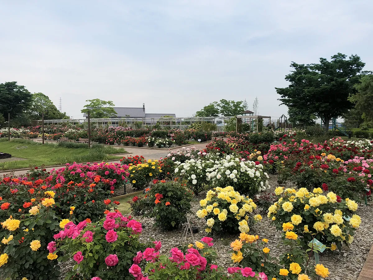 ホームページリニューアルしました。