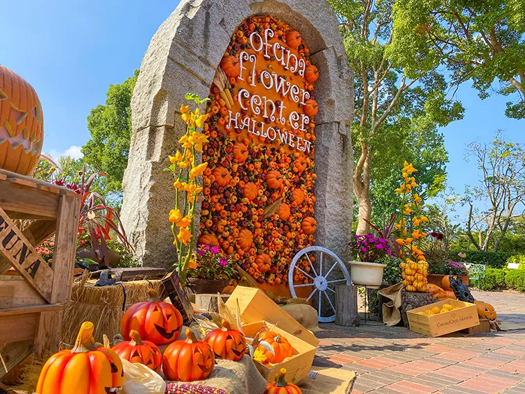 大船フラワーセンターでハロウィンを楽しもう！
