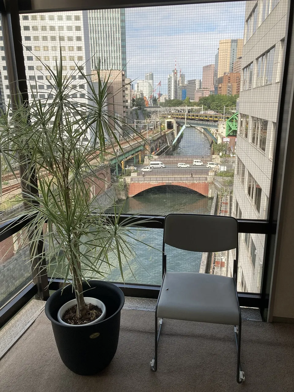 会館からの景色