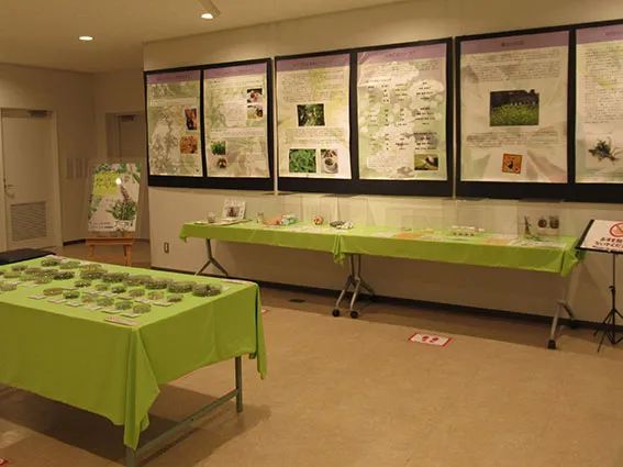 素敵な暮らしハーブ展