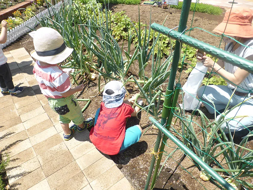 花壇ボランティア活動