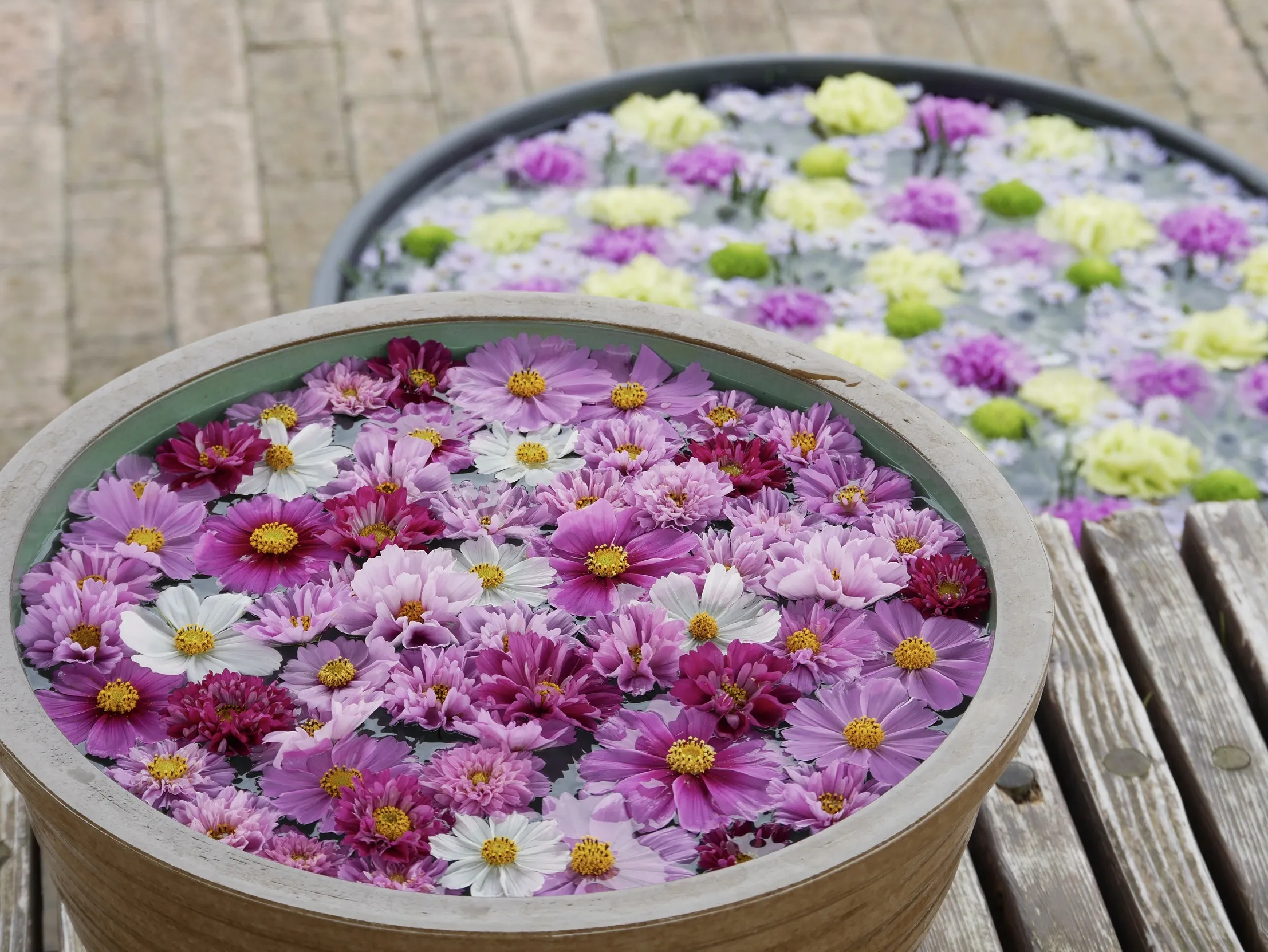 浮き花で秋を楽しむ