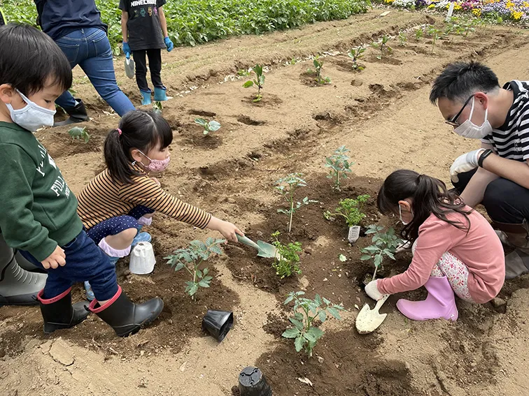 夏野菜植付体験に参加した方からのご意見