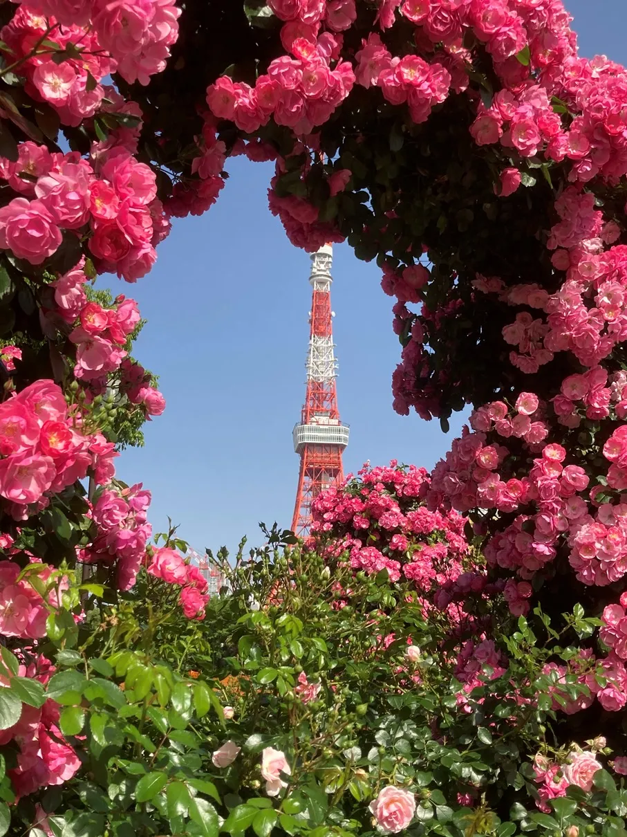 公園入口バラ花壇