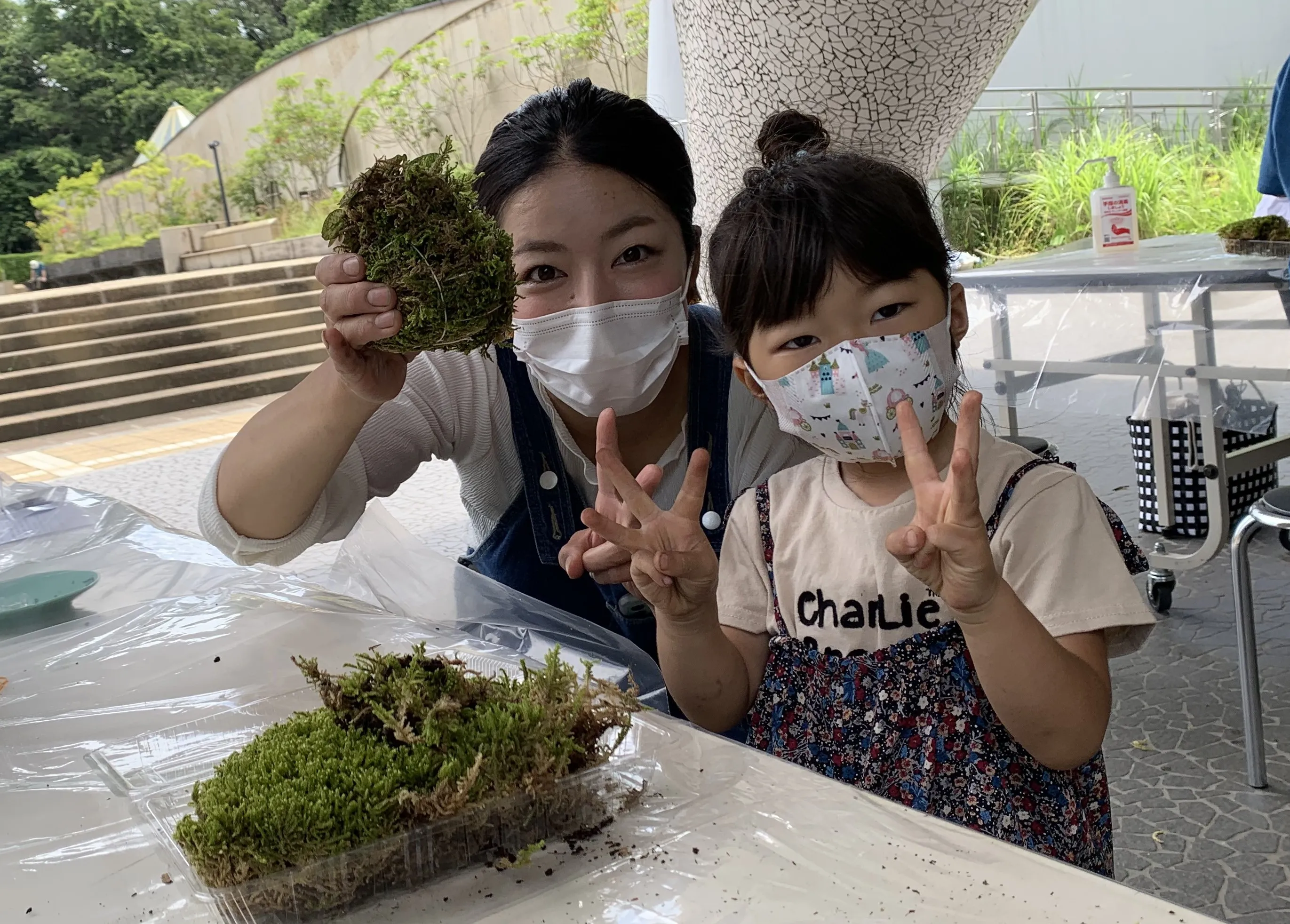 かわいいコケ玉をつくろう