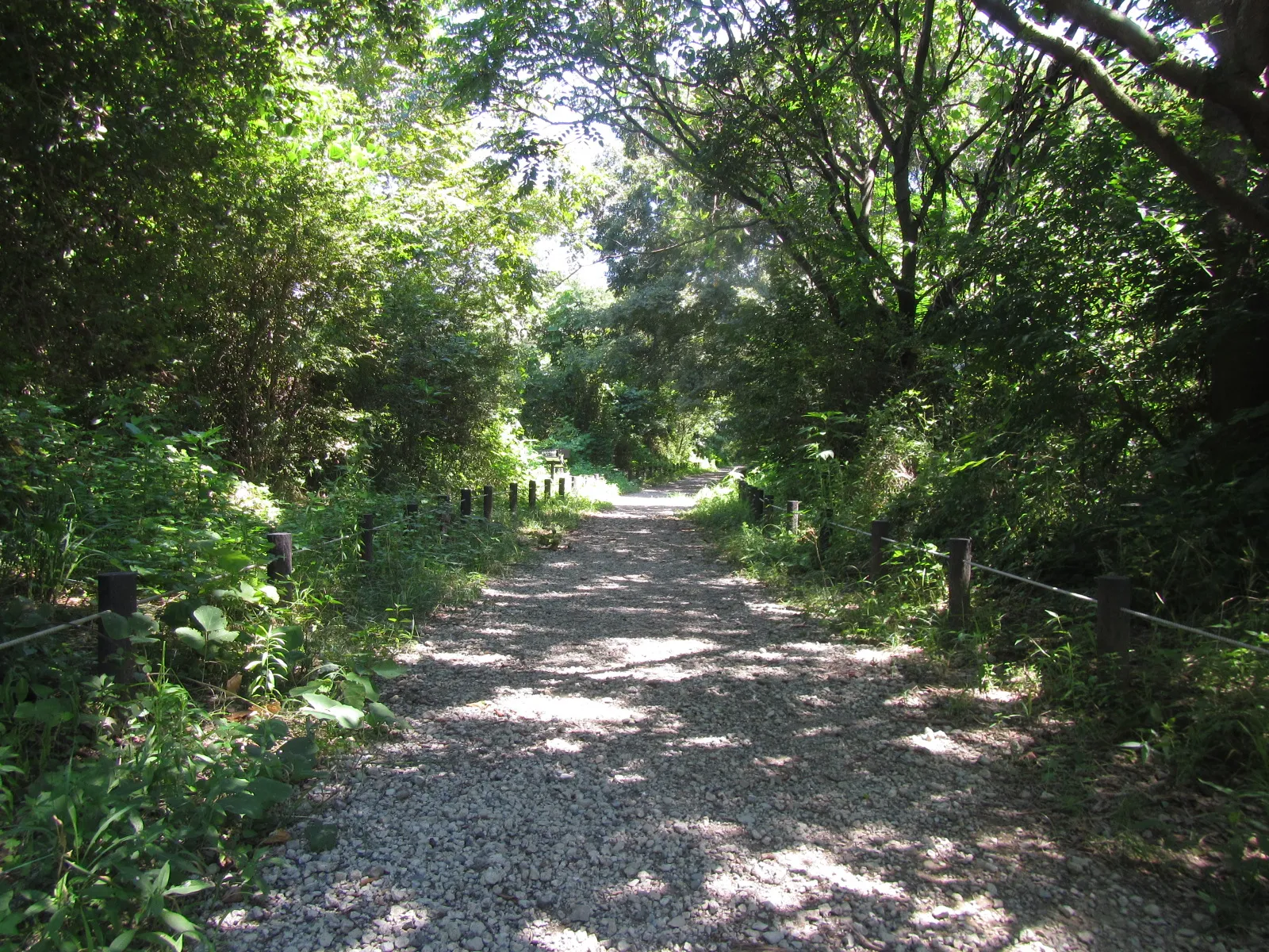 館内設置アンケート