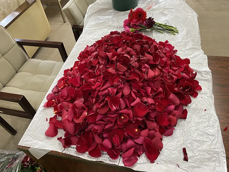 バラの花びら染め体験