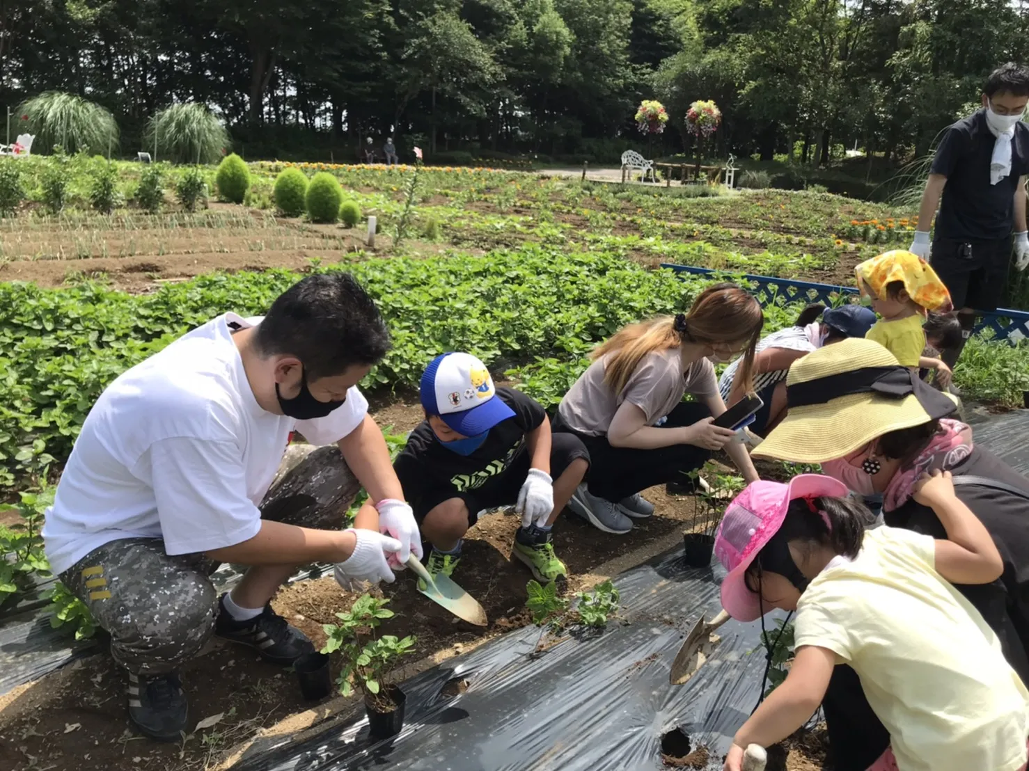 渋沢栄一ゆかりの藍畑＆藍の生葉叩き染め体験