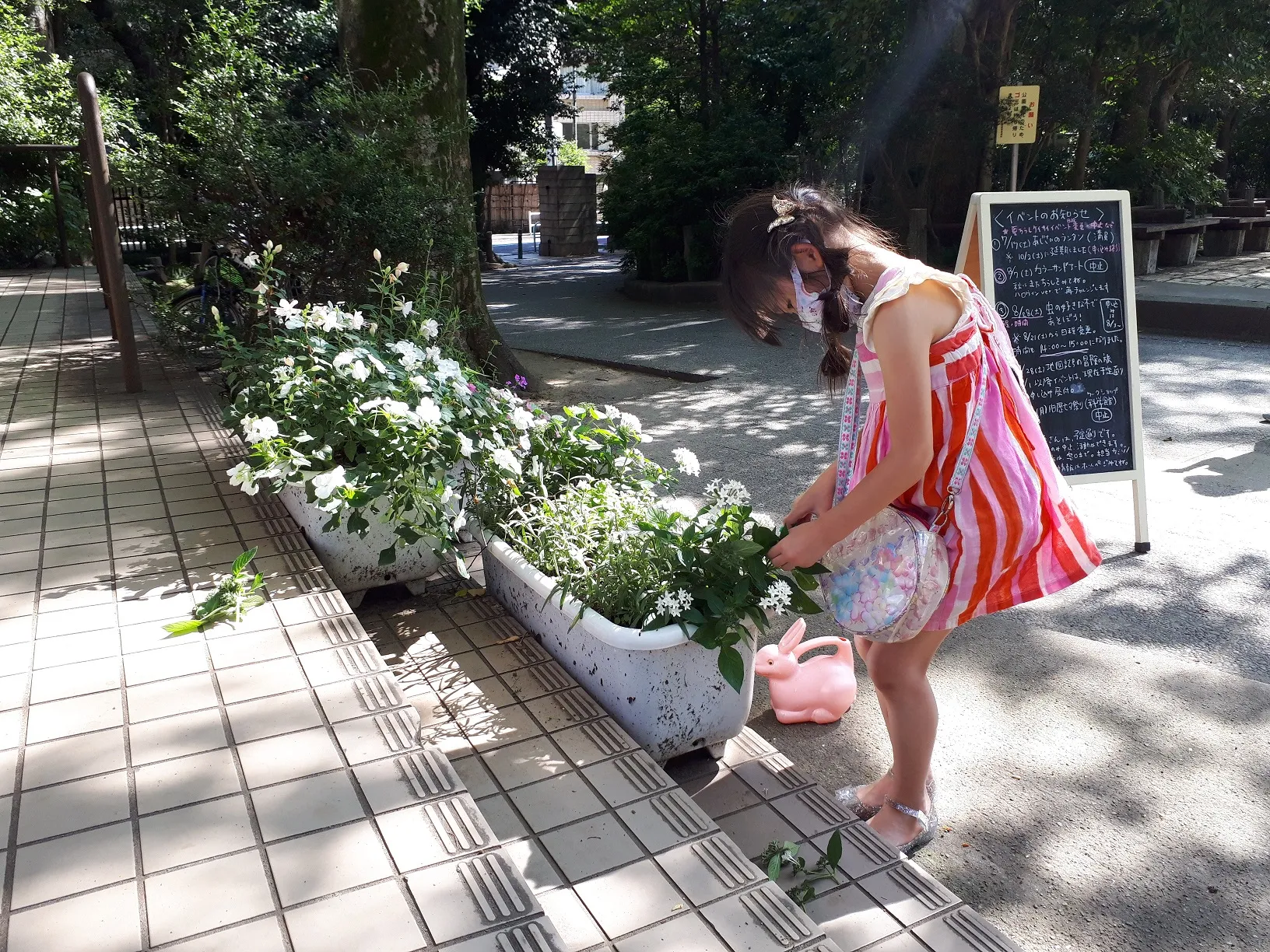 夏休み こどもお花係