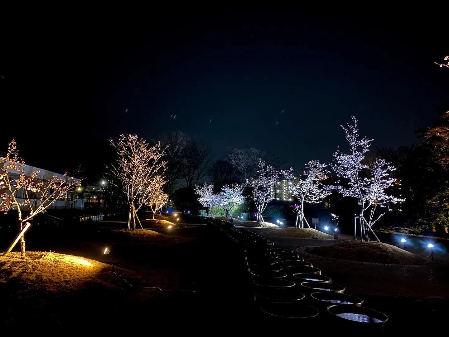 さくらワークショップ