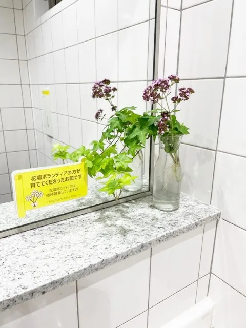 トイレのお花が素敵です