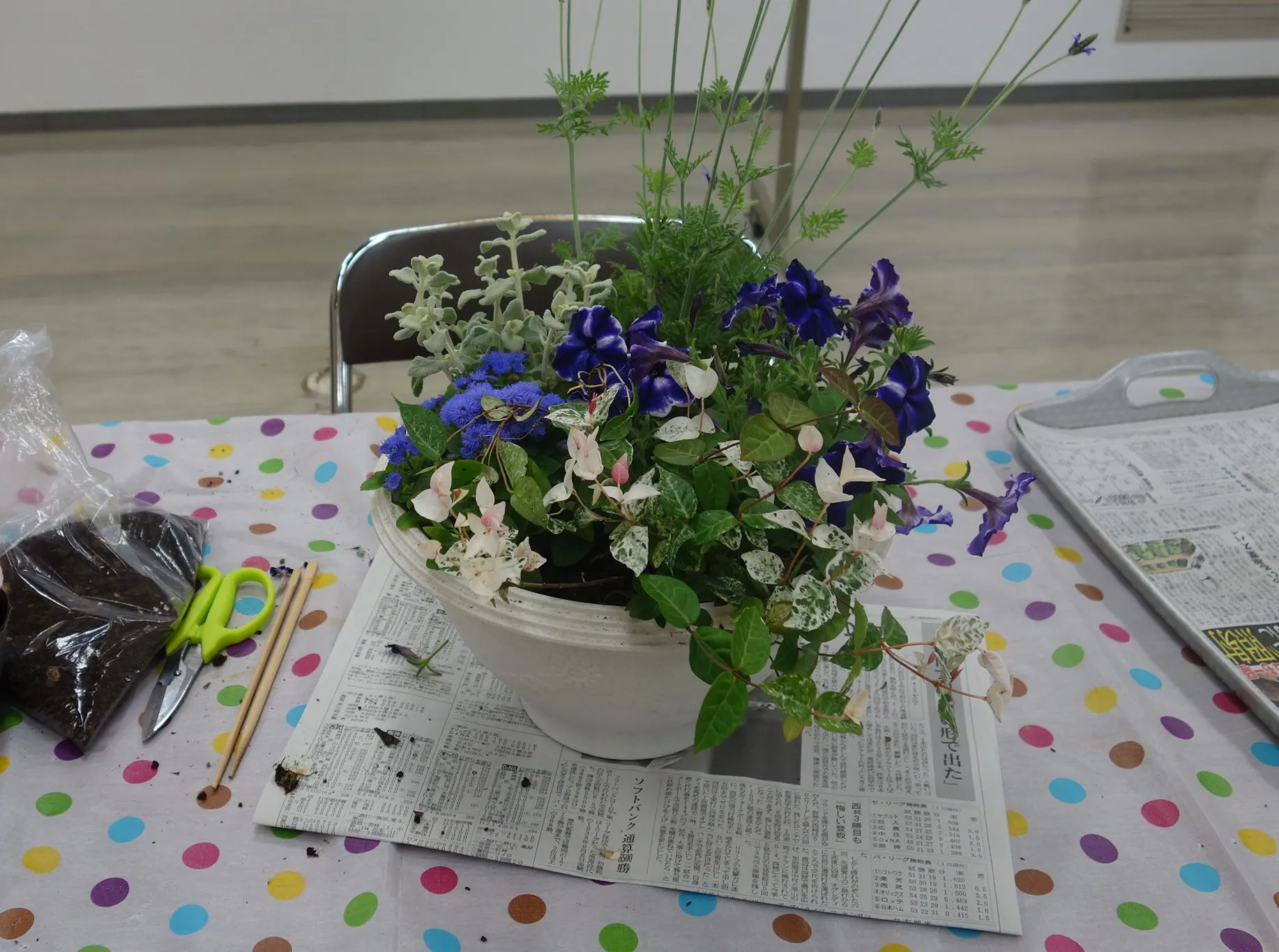 父の日の寄せ植えづくり
