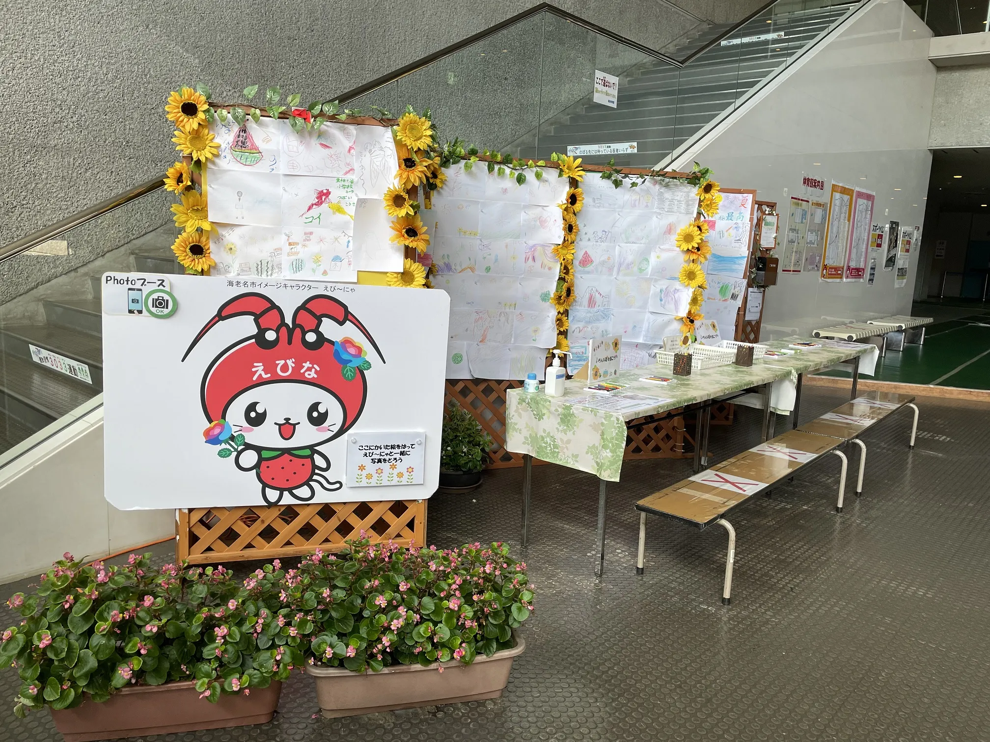 えび～にゃと一緒に写真を撮ろう！