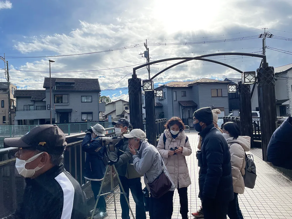 野鳥観察会