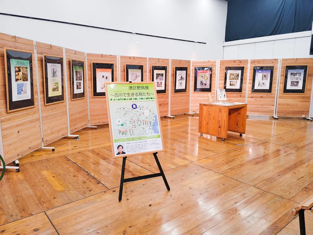 港区野鳥展～古川で生きる野鳥展～
