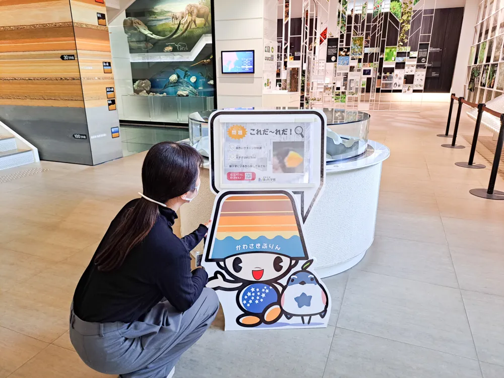 これだ～れだ！ぷりんちゃんからのクイズ！