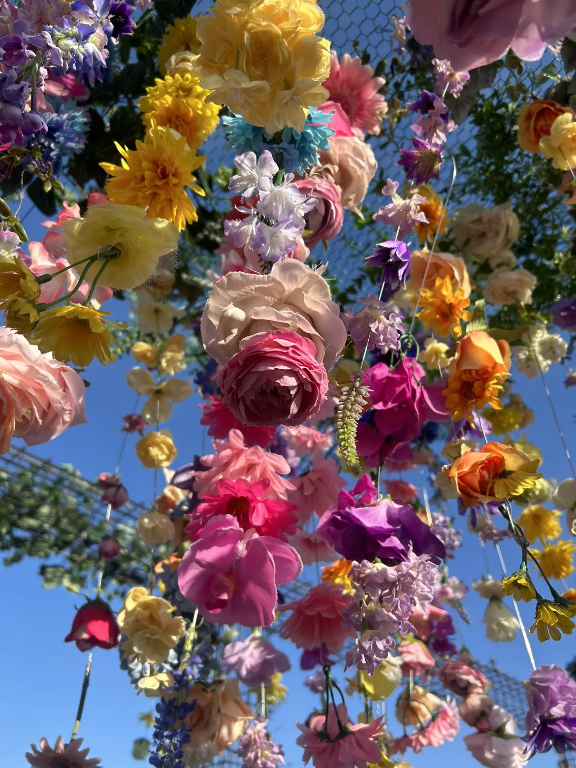 ウインターフェア