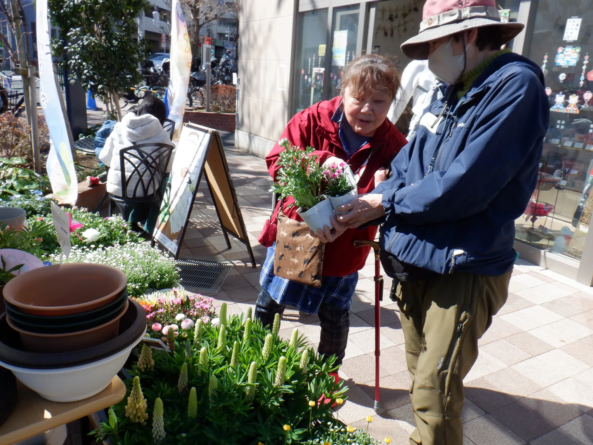 春の花苗販売＆季節の寄せ植え体験