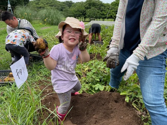 じゃがいもの収穫体験