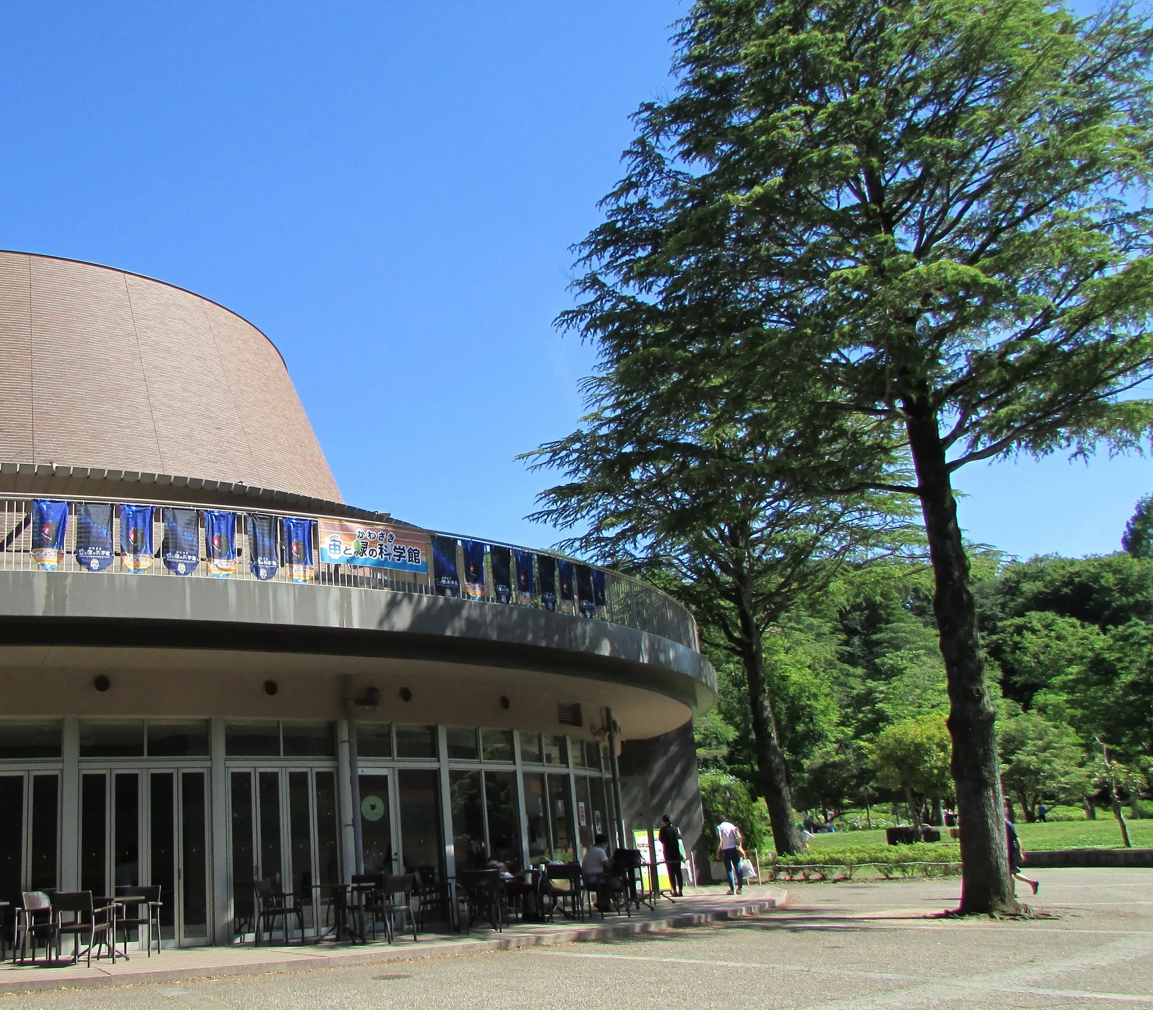 科学館にまた来てね！展示の工夫で楽しさ演出