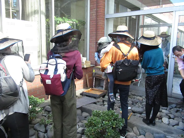 年間学習テーマ　ミツバチ