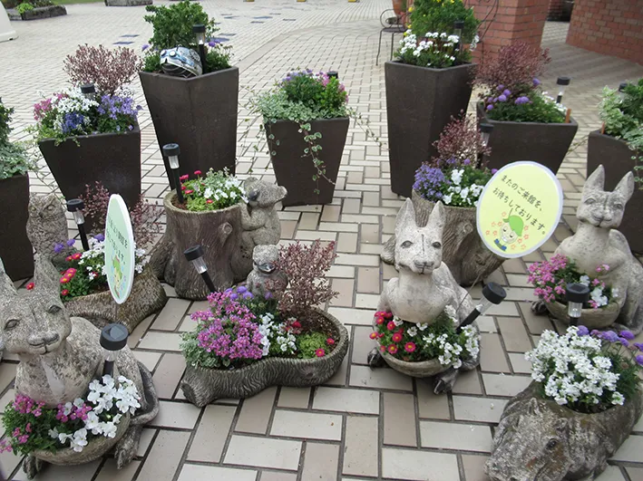 閉館中も楽しめる植物館