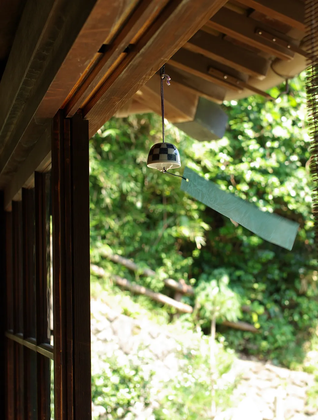 来園者からのご意見