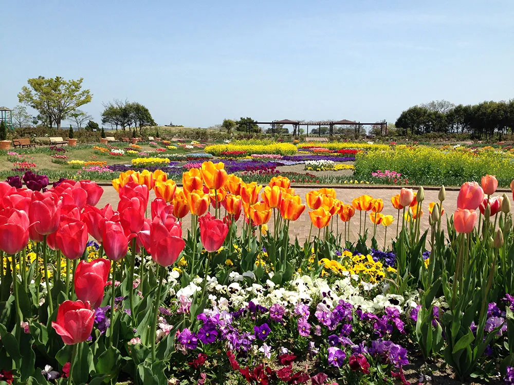 写生大会参加者様よりお手紙をいただきました0