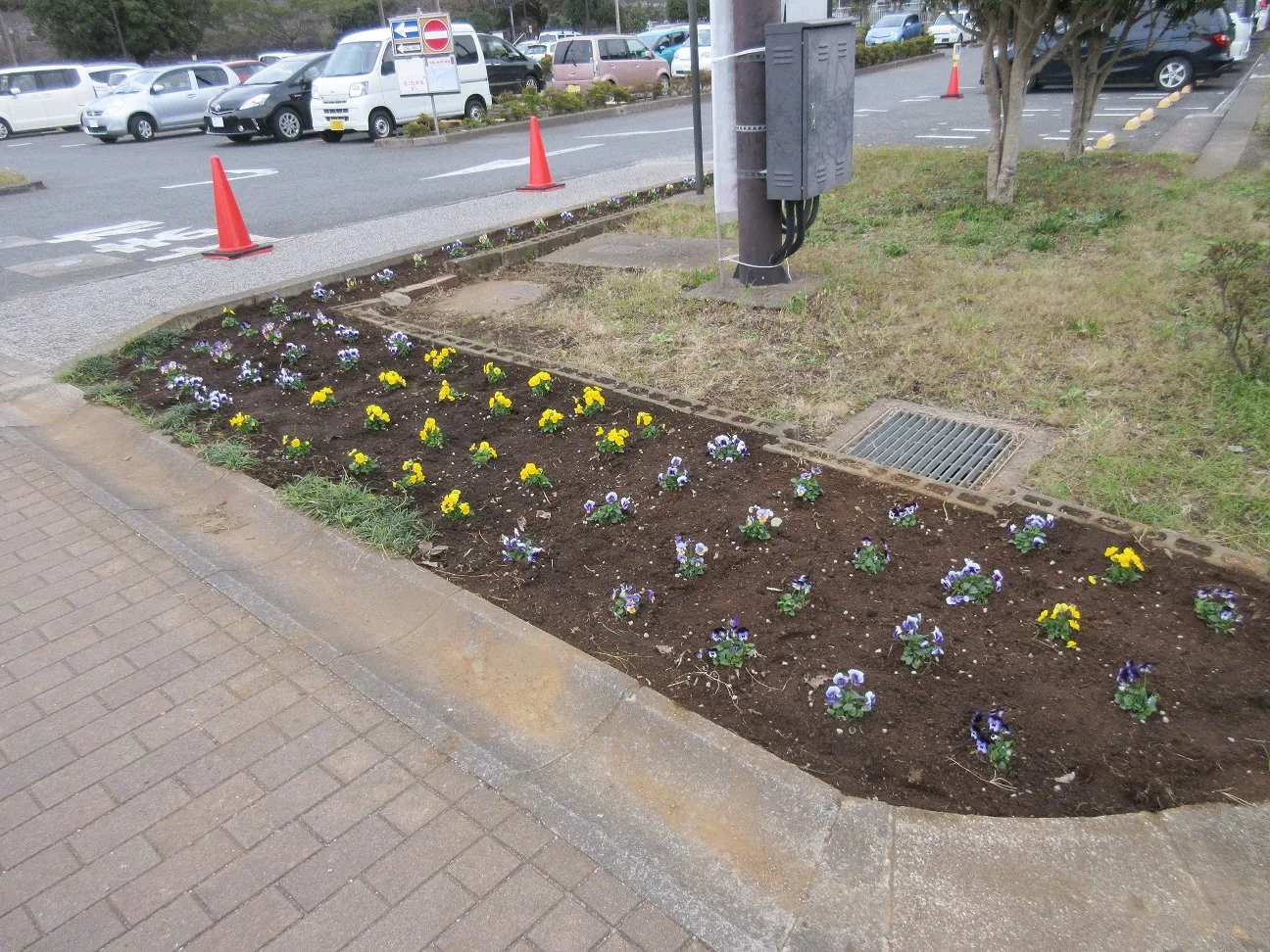 北部公園ボランティア活動0