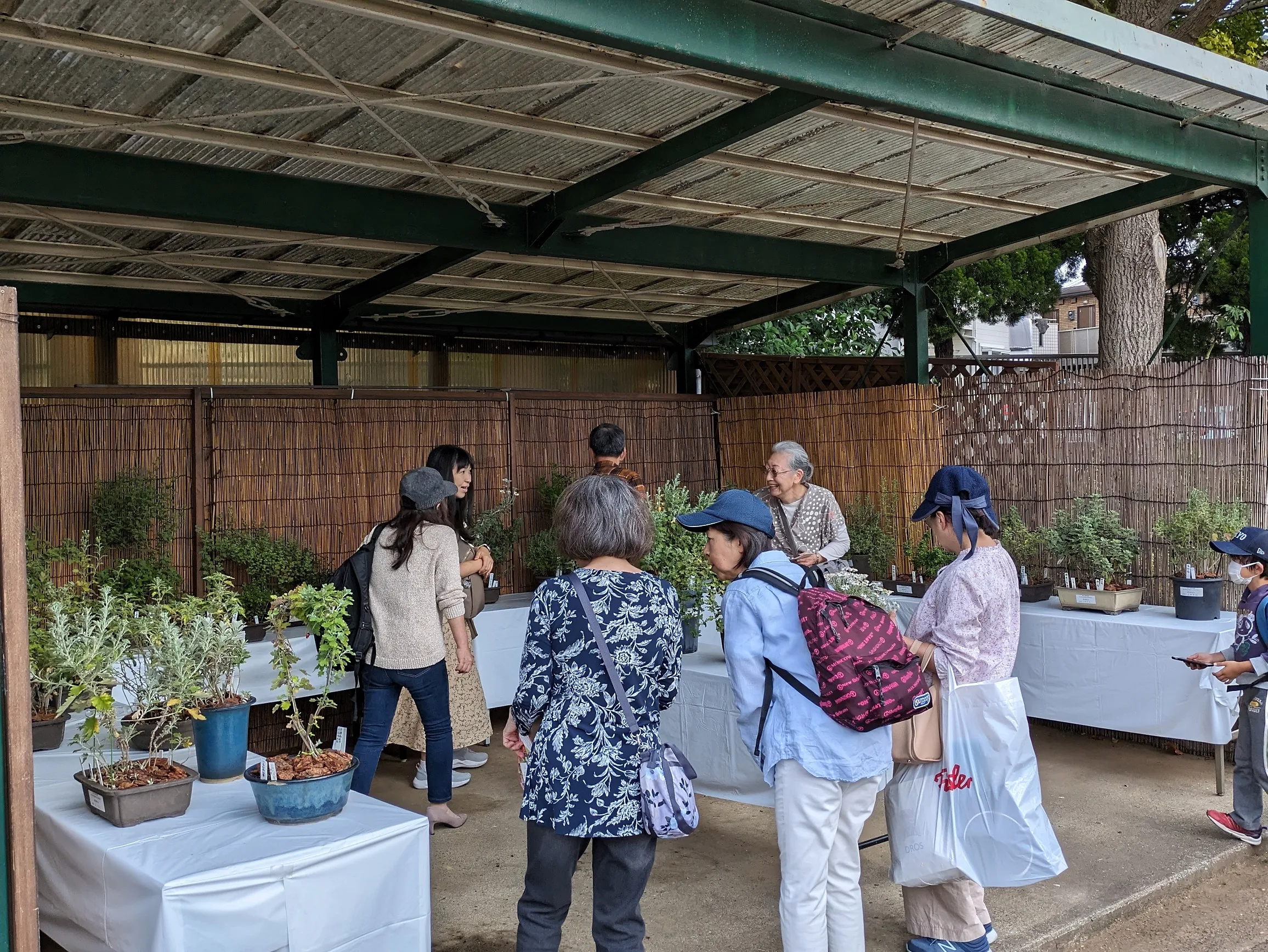 第６０回記念神奈川県菊花大会　開催