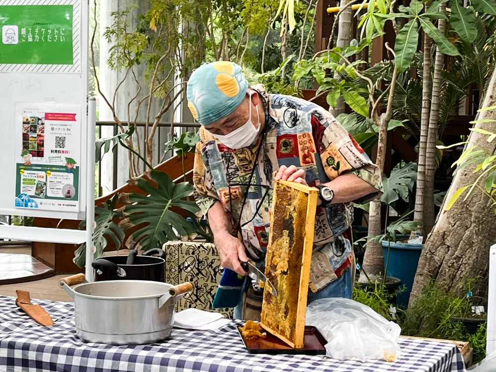 ミツバチ内検体験会